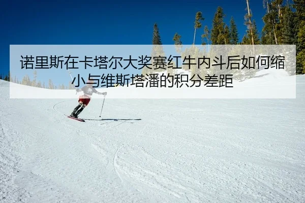 诺里斯在卡塔尔大奖赛红牛内斗后如何缩小与维斯塔潘的积分差距